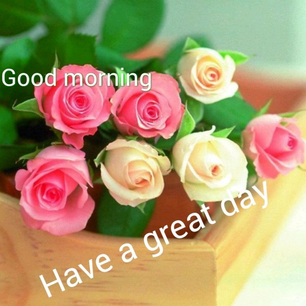Good Morning – Have A Great Day