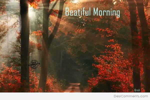 Beautiful Morning