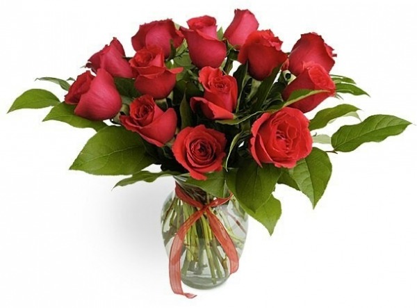 Image Of Red Roses