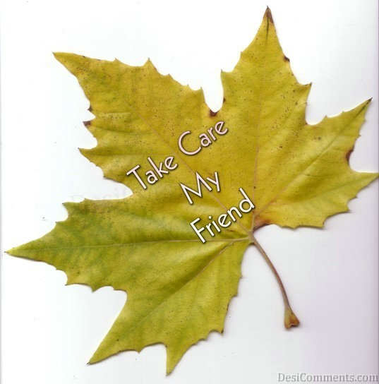 Take Care Wrote On Leaf
