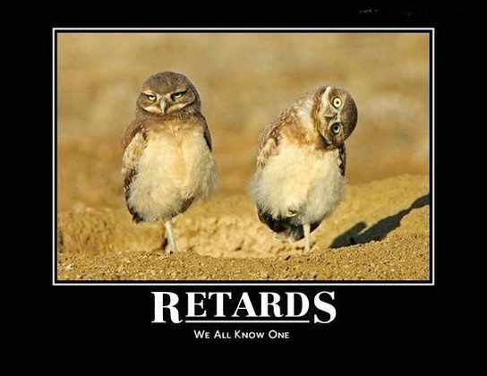 funny pictures retards. Retards. Category: Funny