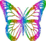 Butterfly Graphic #42