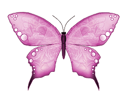 Butterfly Graphic #43