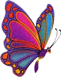 Butterfly Graphic #82