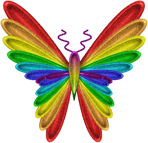 Colourfull Butterfly | DesiComments.com