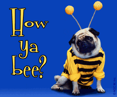 How Ya Bee?