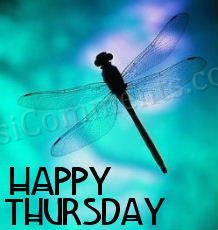 Thursday Graphic #4
