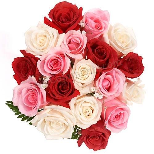 rose flowers images. Category: Flowers