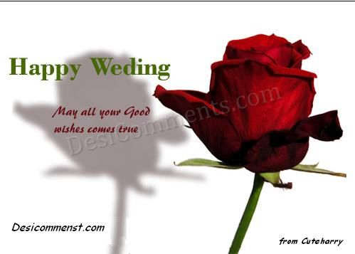 Happy Wedding This picture was submitted by Cuteharry HTML Code for Orkut 