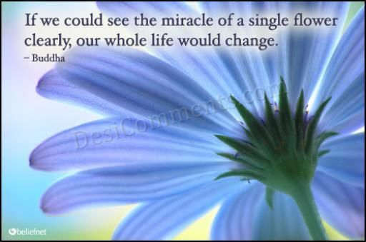 A single flower can change ur life