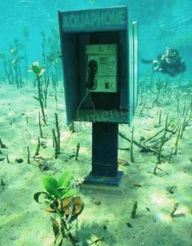Aqua Phone