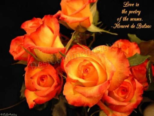 Love flowers Love flowers