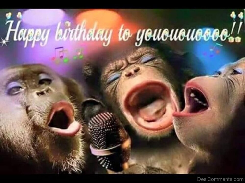 Happy birthday to you обезьяны открытка 6
