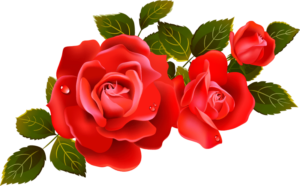 rose clip art sms - photo #42