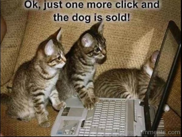 Ok Just One More Click And The Dog Is Sold