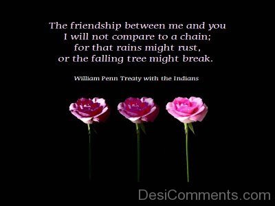 The Friendship Between Me And You