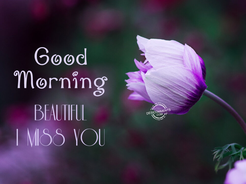 Good Morning Beautiful I Miss You DesiComments
