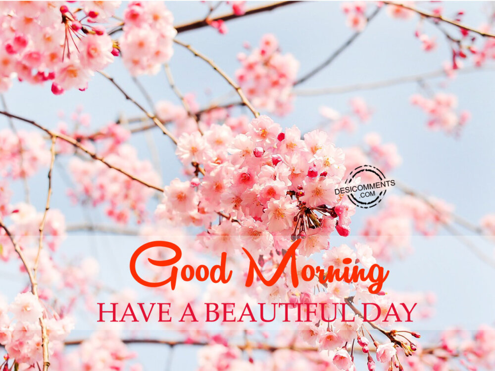 Have A Beautiful Day - DesiComments.com
