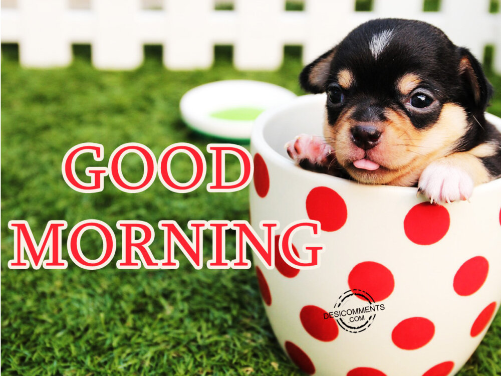 Good Morning Image - DesiComments.com