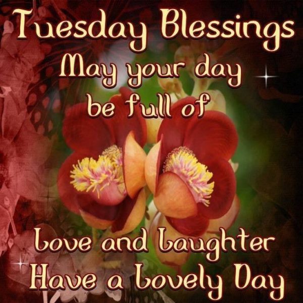 Tuesday blessings may your day be full of love