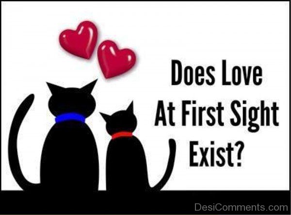 Does love at first sight exist essay