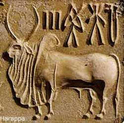 harappa
