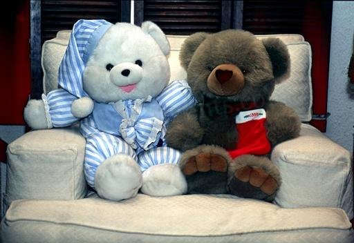  Cute  Teddy  Bear  Couple  DesiComments com