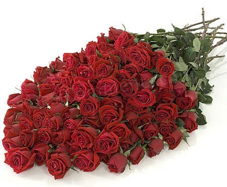 Lot of roses for you