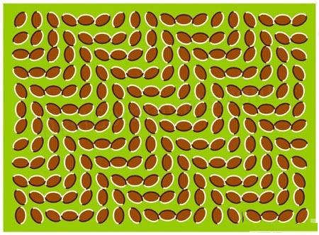 Optical Illusion