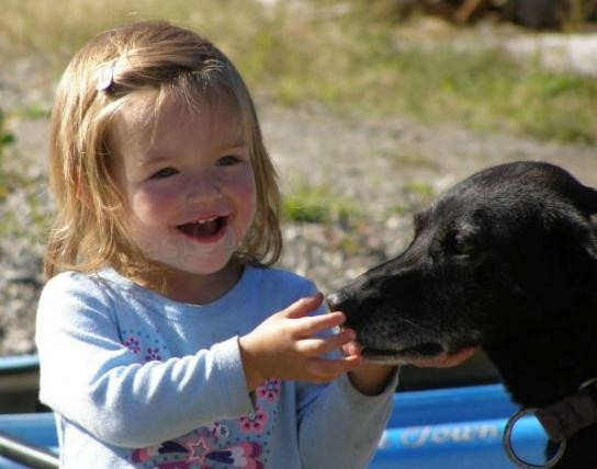 Cute Baby With a Dog