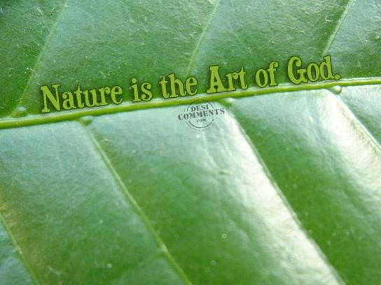 Nature is the art of God