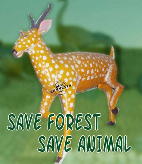 Save Forest Save Animal 