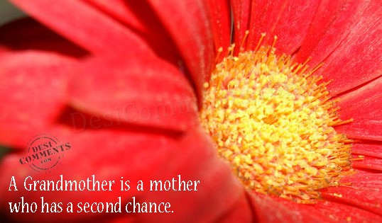 A Grandmother is a mother who has a second chance