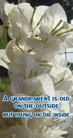 A grandparent is old on the outside