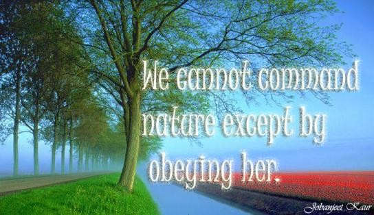 We cannot command nature except by obeying her