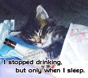 I stopped drinking