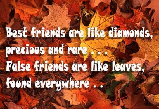 Best friends are like diamonds