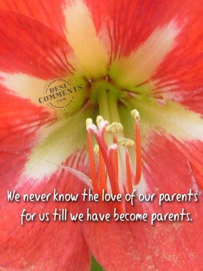 Love of our parents