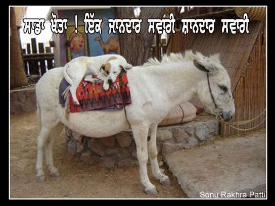 Khota