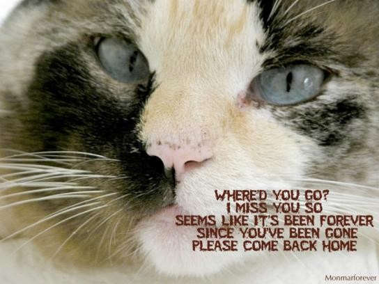 I Miss You
