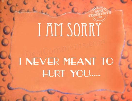 I Am Sorry I Never Meant To Hurt You Desicomments Com