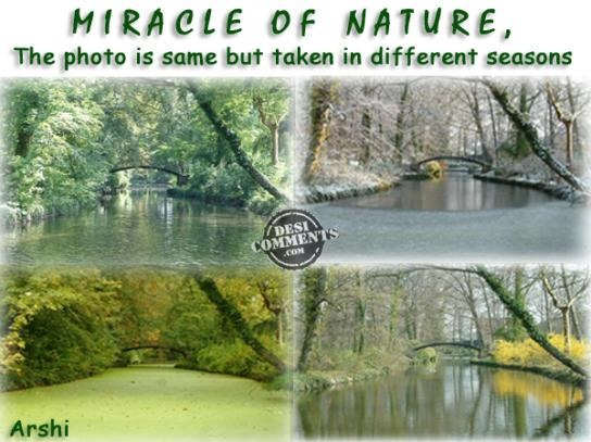 Miracle of nature
