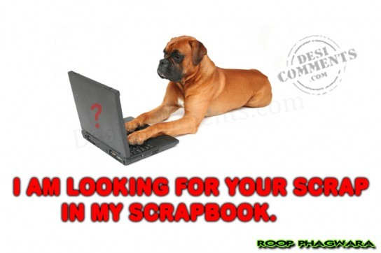 Looking for your scrap
