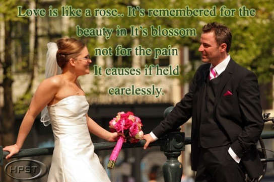 Love is like a rose