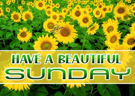 Have a beautiful sunday