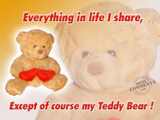 My Teddy Bear…