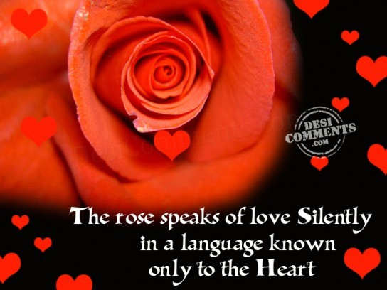 The rose speaks of love