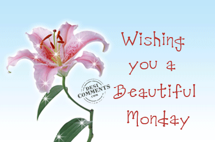 Wishing you a beautiful monday
