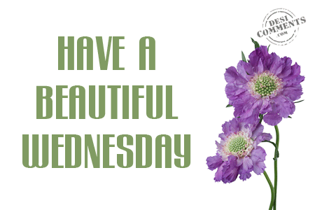 Have a beautiful wednesday