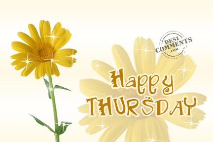 Happy Thursday